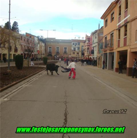 Pedrola 20 - 01 - 2009 ganaderia Logroño Tovar 3213993832_34a843d902_o