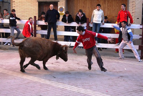 DIA 17-01-09  PRADILLA DE EBRO -  GANADO DE CUARTERO 3205356791_e809c88766