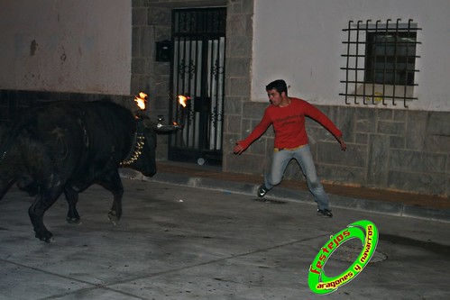 Emboladoras de Aragon  y Navarra, Agon 25-04-2009 toro de "El Ruiseñor" 3484932839_145ea38c3e