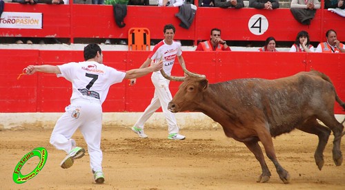 Alfaro (La Rioja)  16 de mayo Concurso de recortadores con anillas, ganaderia Jose Arriazu e Hijos (Ablitas, Navarra) 4639231384_9e30a0136f