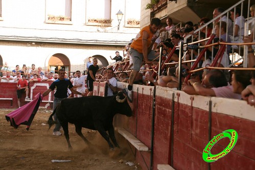 Cadreita (Navarra) 22-07-2009 Ganaderia el "Pincha" Lodosa (Navarra) 3761927282_7987bfc023