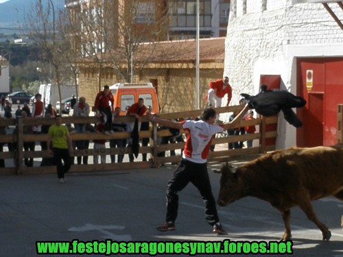 Arnedo 20-03-09 Ganaderia Manuel Merino 3379237740_b3d2da9b2d