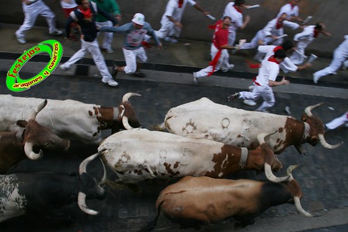 Pamplona (Navarra) 12-07-2009 Encierro de toros de Miura 3716443258_58f5cdc95b