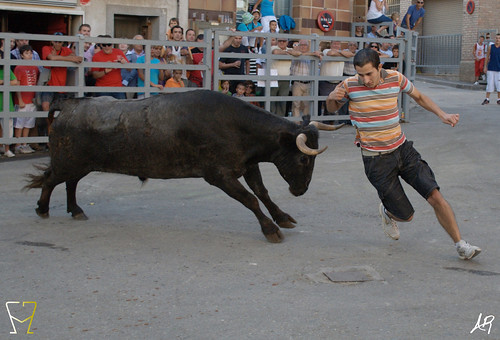 Magallón (Zaragoza) 9.8.2009 Ganadería Merino Gil - Garde (Marcilla, Navarra) 3807043923_699193d3cf