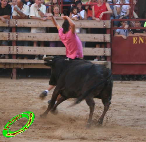 Mallen (Zaragoza) 8-09-2009 ganaderia Hnos. Vela (Mallen) 3905947149_0204189ec9