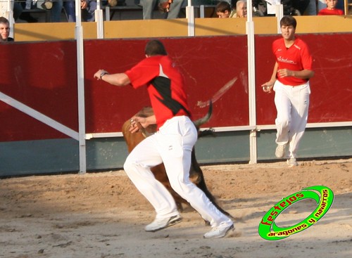 Borja (Zaragoza) 19-09-2009 Concurso de recortadores con anillas, ganaderia Hnos Ozcoz (Fuente de Ebro, Zaragoza) 3944929066_c2ee6b79d3