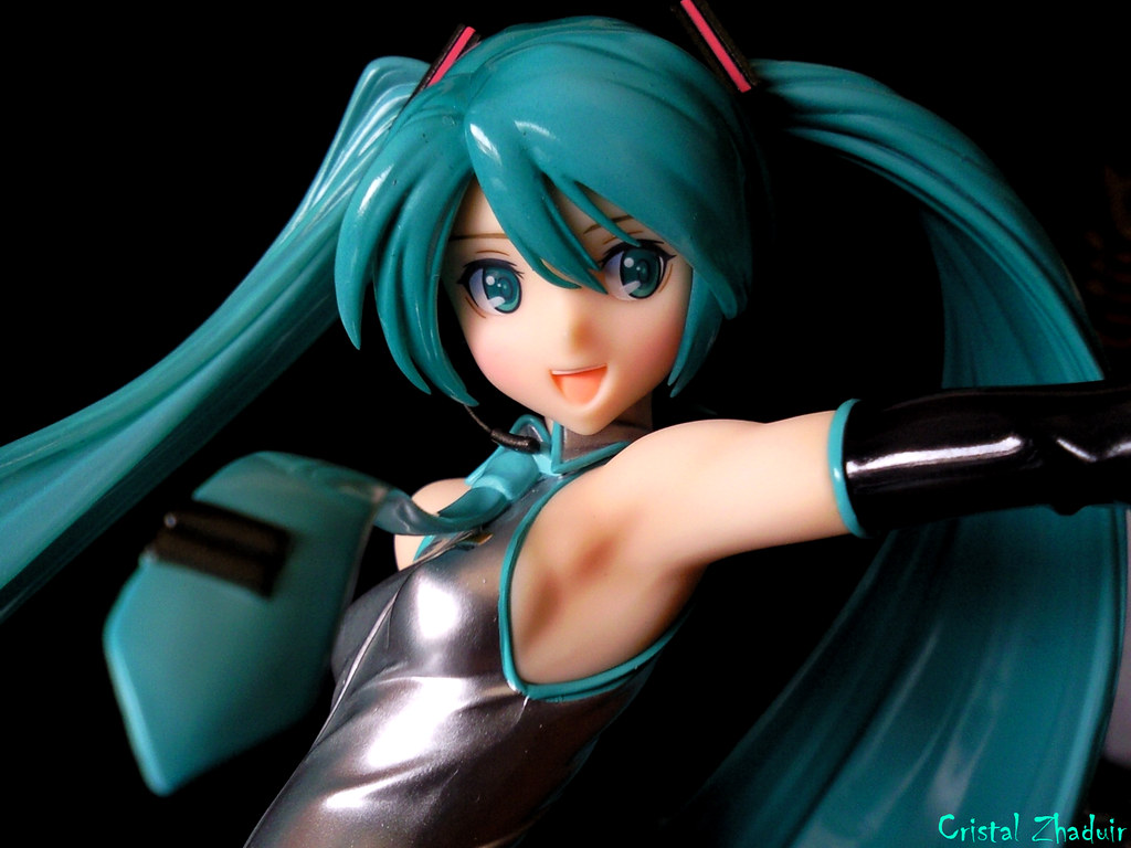 [Review] Miku Hatsune Tony Taka ver. (Max Factory) 5791577285_d1e1028f22_b