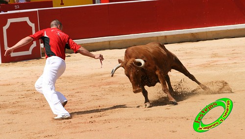 Concurso de recortadores de Pamplona con ganaderias de casta navarra 3723835742_dc8440cee4