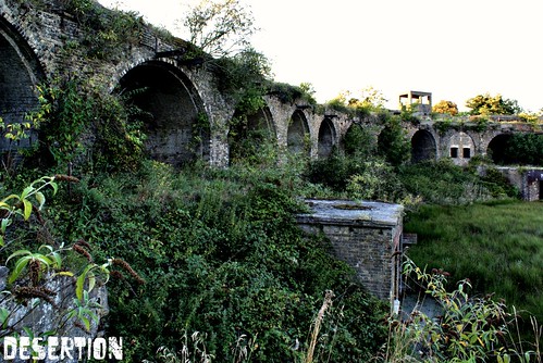 Report - Cliffe Fort, Sept 2009 3829896746_29ff931294