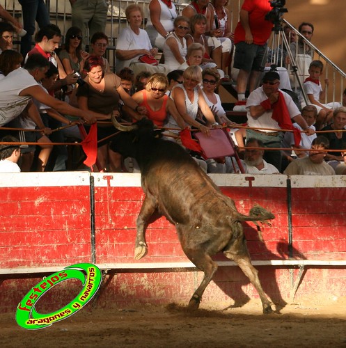 Cadreita (Navarra) 22-07-2009 Ganaderia el "Pincha" Lodosa (Navarra) 3761273145_a208bffa10