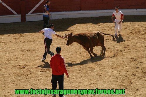 Arnedo 20-03-09 Ganaderia Manuel Merino 3379318598_d1e4b6da6a