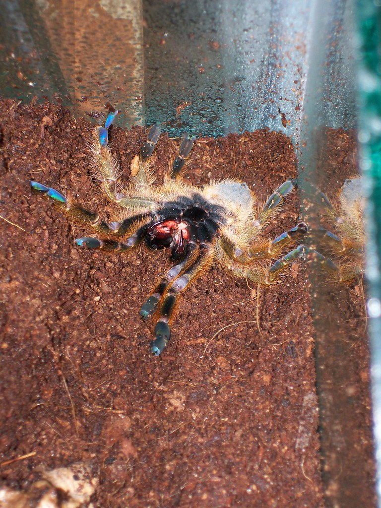 My Rehoused OBT 3390918722_33c5fdf68b_b