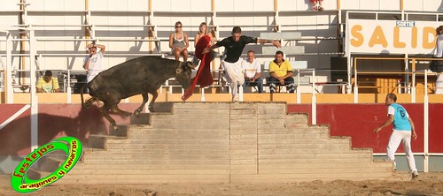 Villamayor (Zaragoza)   9-9-2009 Ganaderia Hnos Murillo (Tauste) 3920409214_1bf5a22b16