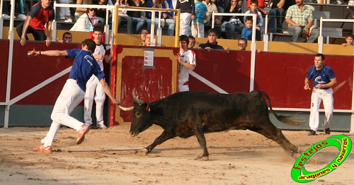 Borja (Zaragoza) 19-09-2009 Concurso de recortadores con anillas, ganaderia Hnos Ozcoz (Fuente de Ebro, Zaragoza) 3943501797_4a9246810f