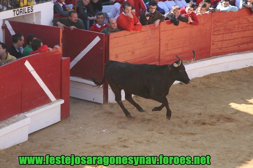 Arnedo 21-03-2009 Ganaderia Manuel Merino 3382107566_9b8d707a96