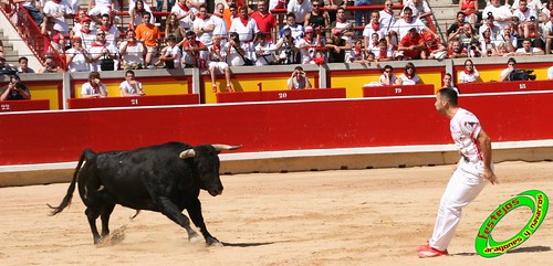 Pamplona (Navarra) 11-07-2009 toros de Marques de Albaserrada (GERENA, SEVILLA) 3719511795_58c055f5fa