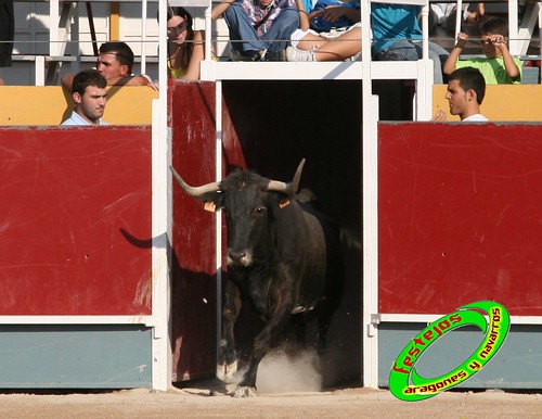 Borja (Zaragoza) desafio de ganaderias Murillo Conde (Tauste, Zaragoza) y Jose Arriazu e hijos (Ablitas, Navarra) 3965831972_0e76d85ed2