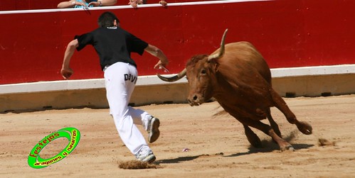 Concurso de recortadores de Pamplona con ganaderias de casta navarra 3724501008_94b4117dbe