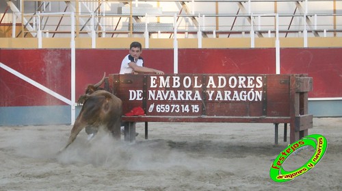 Villamayor (Zaragoza)   9-9-2009 Ganaderia Hnos Murillo (Tauste) 3920455528_a8631dbbee