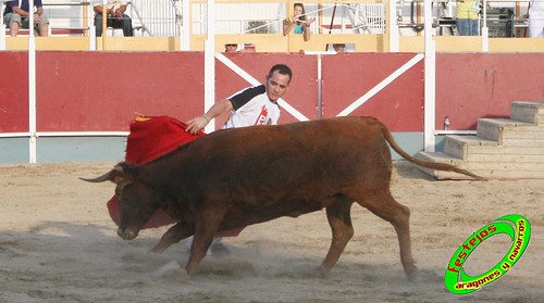 Villamayor (Zaragoza)   9-9-2009 Ganaderia Hnos Murillo (Tauste) 3920401066_983e44650b