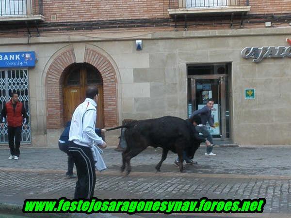 Cariñena 29 - 01 - 2009 3238165533_c7198e42d5_o