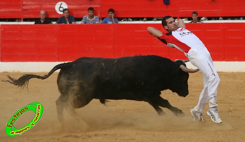 Concurso de cortes en Alfaro (La Rioja) 5-09-2009 toros de Toropasion 3904922020_b13e0a1414