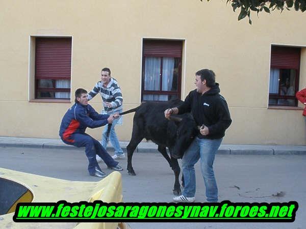 Cabañas de Ebro (tarde) ganaderia de Rafael Alarcón 3226491190_cb8da02bfd_o