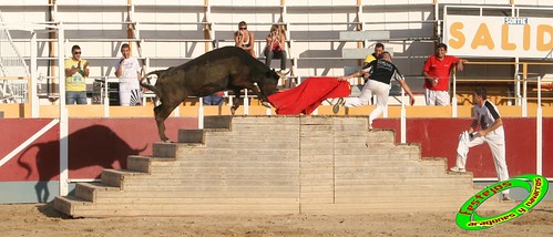 Villamayor (Zaragoza)   9-9-2009 Ganaderia Hnos Murillo (Tauste) 3919489179_d3a40f1587