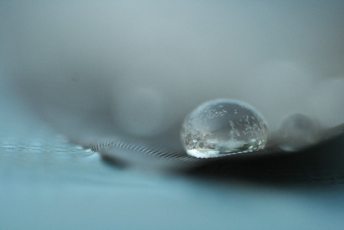 Drops 3265715330_10e869267c