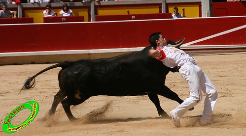 Pamplona (Navarra) 11-07-2009 toros de Marques de Albaserrada (GERENA, SEVILLA) 3719592767_2c4bc418f4