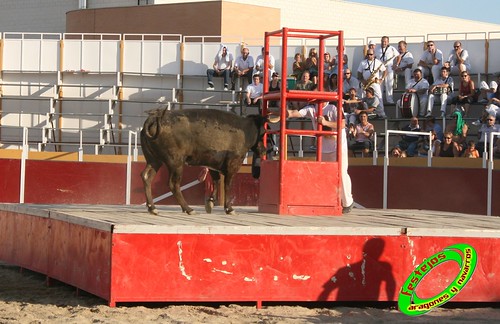 Villamayor (Zaragoza)   9-9-2009 Ganaderia Hnos Murillo (Tauste) 3920237208_d69bcd58fe