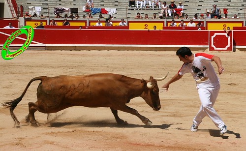 Concurso de recortadores de Pamplona con ganaderias de casta navarra 3724596408_05b550312e