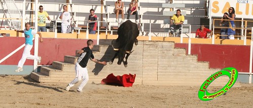 Villamayor (Zaragoza)   9-9-2009 Ganaderia Hnos Murillo (Tauste) 3920225590_019ce22515