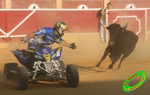 Cintruenigo (Navarra) 11-09-09 despedida de Jose Luis Pejenaute, exhicion de saltos, moto, quad y anillas, ganaderia Santos Zapateria (Valtierra, Navarra) 3926888330_455e56850d