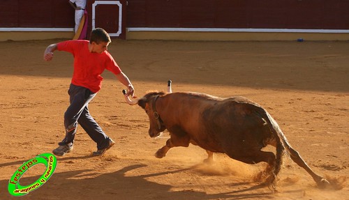 Tudela (Navarra) 26-07-2009 Ganaderia Ustarroz (Arguerdas, Navarra) 3765627235_829eb8337e