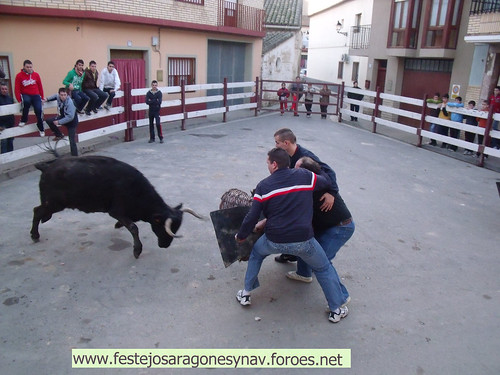 DIA 17-01-09  PRADILLA DE EBRO -  GANADO DE CUARTERO 3205490287_496f1ce2fd