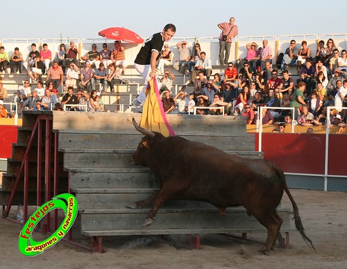 Borja (Zaragoza) desafio de ganaderias Murillo Conde (Tauste, Zaragoza) y Jose Arriazu e hijos (Ablitas, Navarra) 3966032026_8b92952965