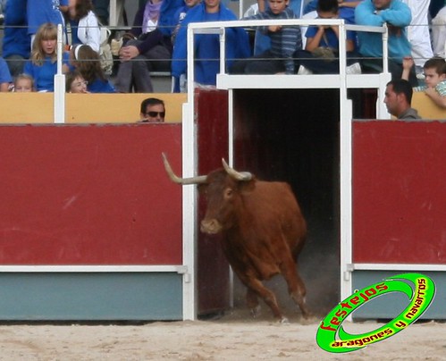 Borja (Zaragoza) 19-09-2009 Concurso de recortadores con anillas, ganaderia Hnos Ozcoz (Fuente de Ebro, Zaragoza) 3944142871_46e572414e