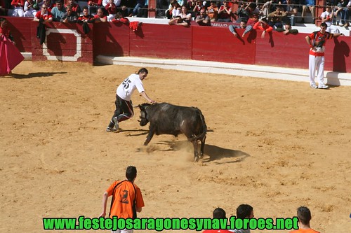 Arnedo 21-03-2009 Ganaderia Manuel Merino 3382121694_c0ee93aef8