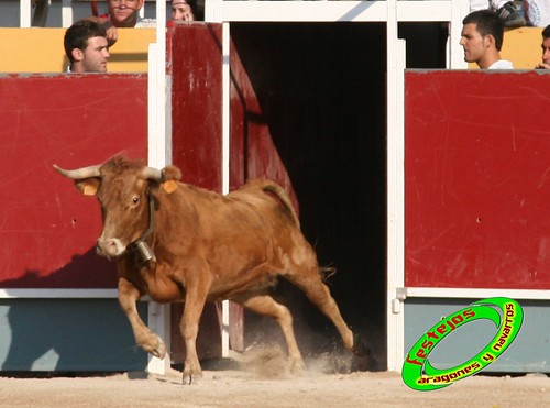 Borja (Zaragoza) desafio de ganaderias Murillo Conde (Tauste, Zaragoza) y Jose Arriazu e hijos (Ablitas, Navarra) 3965094427_744f0f32ba