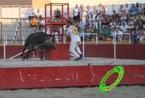 Villamayor (Zaragoza)   9-9-2009 Ganaderia Hnos Murillo (Tauste) 3920370671_76451b0a33