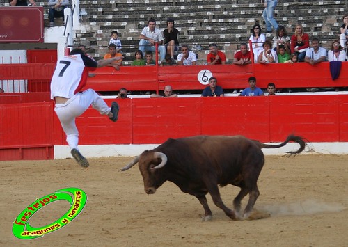 Concurso de cortes en Alfaro (La Rioja) 5-09-2009 toros de Toropasion 3905791155_eba3d7c5f5