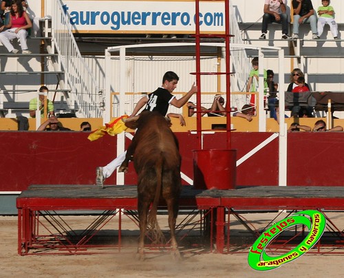 Borja (Zaragoza) desafio de ganaderias Murillo Conde (Tauste, Zaragoza) y Jose Arriazu e hijos (Ablitas, Navarra) 3965871238_f8315f725b