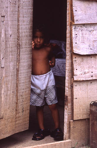 Cuba: fotos del acontecer diario - Página 6 3229960323_d8cb356cc1_o