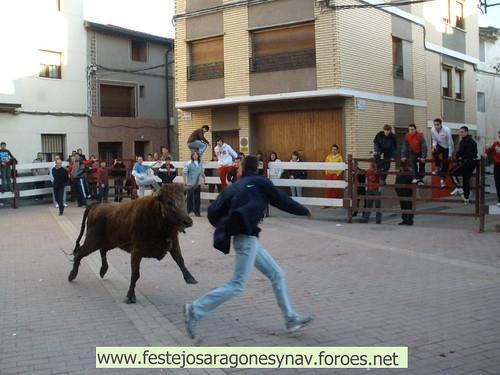 DIA 17-01-09  PRADILLA DE EBRO -  GANADO DE CUARTERO 3206338364_ff5ce014fd