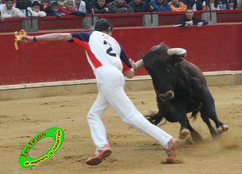 Zaragoza, Concurso de recortadores anillas con toros 4035322750_c763d44a05