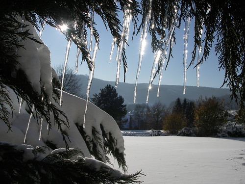 schöne weihnachtsbilder zum träumen ferien für die seele , - Seite 2 3185682854_1e95bd1f7c