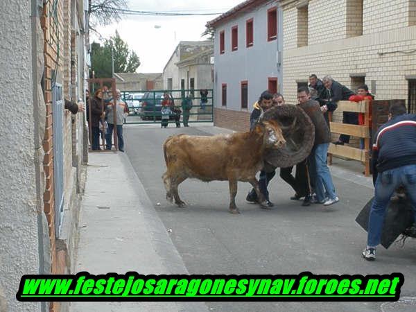 Cabañas de Ebro (mañana) Ganaderia de Rafael Alarcon 3223461390_9829314b15_o