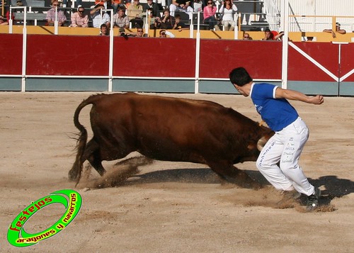 Borja (Zaragoza) Concurso por Comunidades de anillas, ganaderia Begoña Arnillas 3961487247_4486d146a0