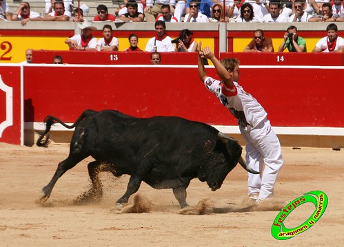 Pamplona (Navarra) 11-07-2009 toros de Marques de Albaserrada (GERENA, SEVILLA) 3721076232_39c81f003b